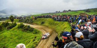 Testoni “Gomme soft punto di riferimento anche in Nuova Zelanda”