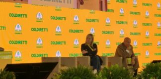 Meloni “Se chiamati a governare daremo risposte immediate ed efficaci”