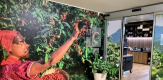 Coltivazione di caffè più green, Nestlè lancia il Nescafè Plan 2030