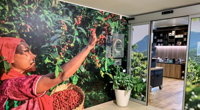 Coltivazione di caffè più green, Nestlè lancia il Nescafè Plan 2030