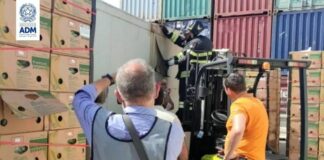 Al porto di Catania sequestrati 110 kg di cocaina per 12 milioni