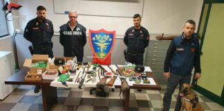 Operazione “Pettirosso” in Lombardia, Carabinieri a tutela dell’avifauna