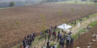 A Maranello nasce Bosco Ferrari, 30 ettari di nuova forestazione