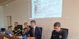 Rischio sismico in Calabria, convegno con i maggiori esperti del settore