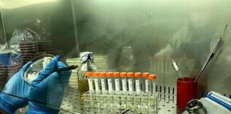 Al via progetto coordinato da Enea per la sicurezza alimentare