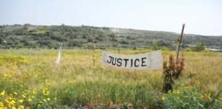 Caruana Galizia’s killing, Degiorgio brothers condemned to 40 years