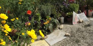 Caruana Galizia’s assassination, political forces want full justice