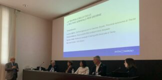 Il welfare aziendale una risposta al crollo demografico in Italia