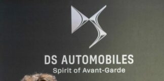 Eugenio Franzetti è il nuovo Direttore di DS Performance