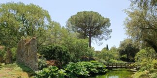 Vincenzi “Da consiglio ok a delibera su salvaguardia flora-fauna Lazio”
