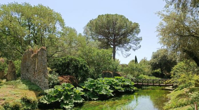 Vincenzi “Da consiglio ok a delibera su salvaguardia flora-fauna Lazio”