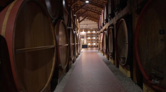 Imprese, con la formazione continua crescono gli investimenti