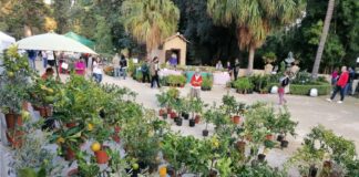 All’Orto Botanico di Palermo 12 mila visitatori per “Zagara d’Autunno”