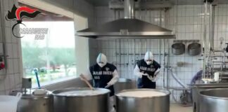 Controlli Nas sulla Listeria, chiuse 23 aziende in tutta Italia