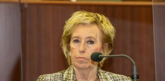 Ue, Moratti “Voti favorevoli alle imprese su semplificazioni e costi energia”