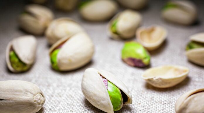 Pistacchi americani, nuovo studio rivela l’alto potere antiossidante