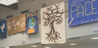 Donazzan “Sistema scolastico veneto è tra i migliori”