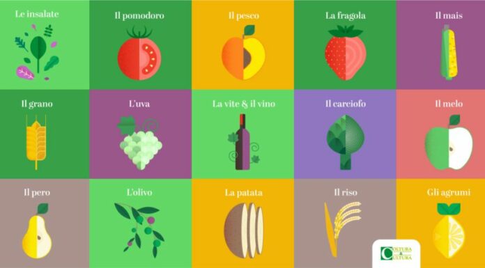 Nuovo look per la collana di Bayer “Coltura&Cultura”