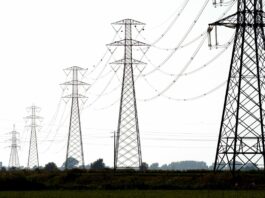 Energia elettrica per le pubbliche amministrazioni, al via la nuova gara Consip da 3,1 miliardi