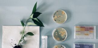 Agroalimentare, arrivano i fertilizzanti “bio-green”