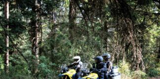 Suzuki GSX-8S E V-Strom 800DE saranno protagoniste della Première Show