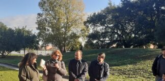 La Regione Lazio aderisce alla Festa dell’Albero 2022