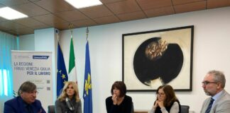 FVG, Rosolen “Progetti ad hoc nell’artigianato per tutela del settore”