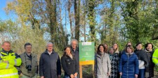 Nestlè e Federparchi, piantati 400 alberi in 4 parchi italiani