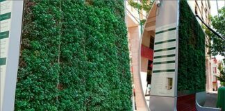 Enea testa “CityTree”, il pannello “mangia smog” per le città