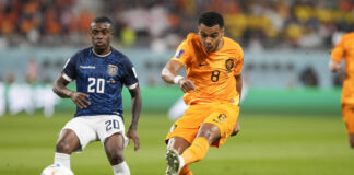 Gakpo e Valencia, Olanda-Ecuador 1-1 e Qatar eliminato