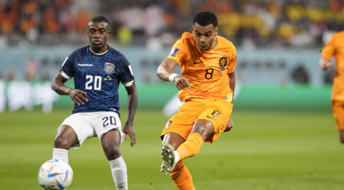 Gakpo e Valencia, Olanda-Ecuador 1-1 e Qatar eliminato