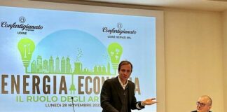 FVG, Fedriga “Appello all’unità su scelte energetiche”