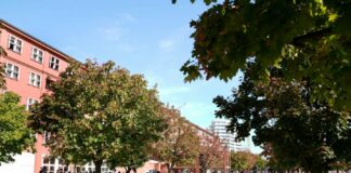 Bicocca lancia con fondi del Pnrr i dottorati in P.A., Blue economy e Patrimonio immateriale