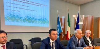Transizione energetica, Delli Noci “Puglia protagonista di questa sfida”