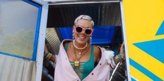 Pink, a febbraio esce il nuovo album “Trustfall”