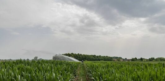 Caldo estremo, siccità, grandine e roghi: i danni all’agricoltura italiana hanno superato i tre miliardi