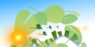 Quali sono i combustibili alternativi? Quali sono i combustibili alternativi