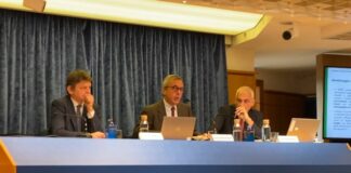 Gse, dal 2005 contrazione dei consumi nazionali di energia