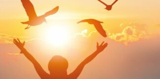 Libri, esce “Viaggio in una vita sospesa” di Elvira Frojo