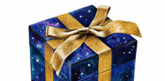 Coupon e Codici Sconto: i prodotti più acquistati online dagli italiani pacco regalo