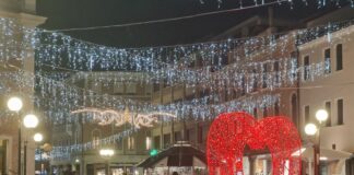 Il Natale accende piazza Ferretto con un albero di 15 metri