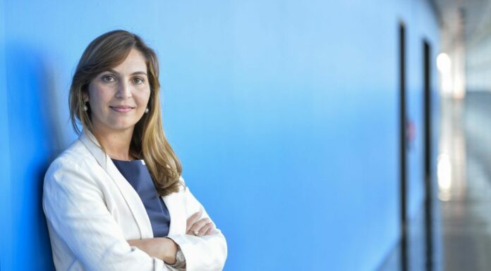 Infrastrutture, Tardino “Emendamenti a proposta di riforma TEN-T”