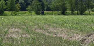 Solinas “Intervento straordinario per l’agricoltura in Sardegna”