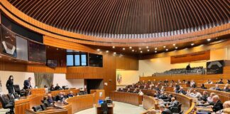 Pais “Collana Acta Curiarum Regni Sardinae Opera unica”