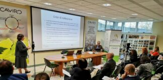 Agricoltura, dalla Regione circa 176 milioni di euro per le imprese