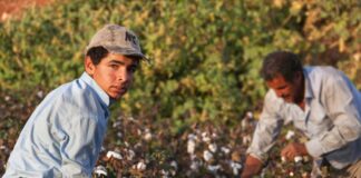 Lavoro, sei nuovi progetti contro il caporalato e lo sfruttamento al Sud