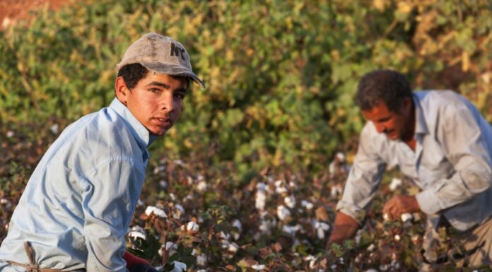 Lavoro, sei nuovi progetti contro il caporalato e lo sfruttamento al Sud