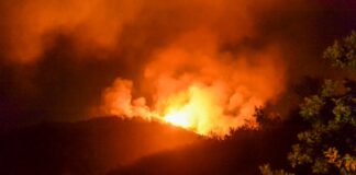 Inwit e Wwf insieme per prevenire gli incendi nelle oasi boschive