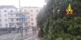 Padova, grosso pino marittino precipita su un’auto, quattro feriti
