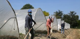 Agricoltura, Uila “Latina non è la capitale dello sfruttamento”